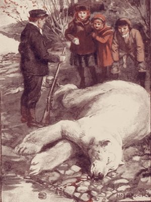 cover image of The Crusoes of the Frozen North